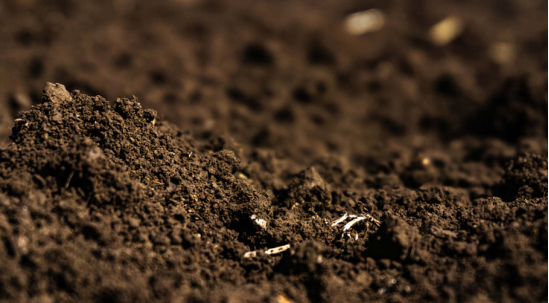 基于高光谱技术的褐土土壤总氮含量的预测2.0
