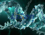 高光谱成像技术在生物医学方向的新应用