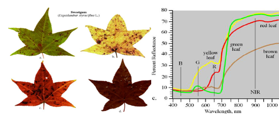 1630287543944380.png image.png