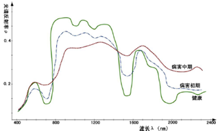 1630287552122283.png image.png