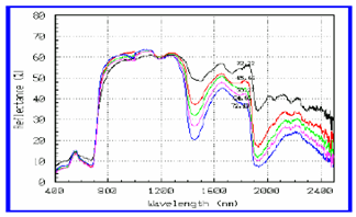 1630287572475765.png image.png