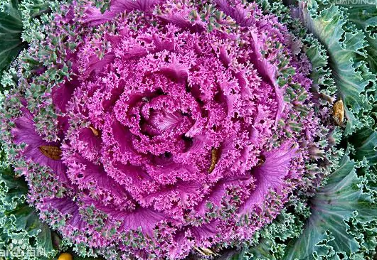 1646203582648762.png image.png