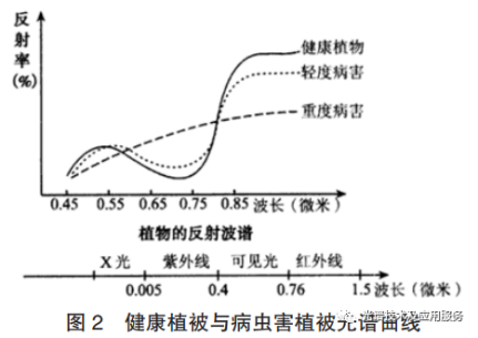 高光谱无人机遥感影像识别技术在茶园病虫害中的应用