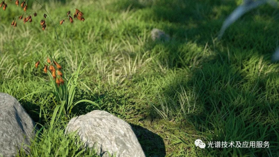 1658475689194821.png image.png