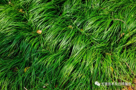 1658475726922733.png image.png