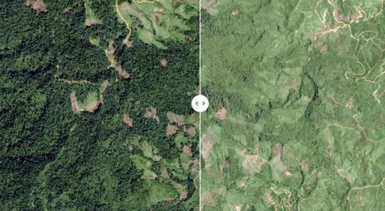 1659952571332531.png image.png