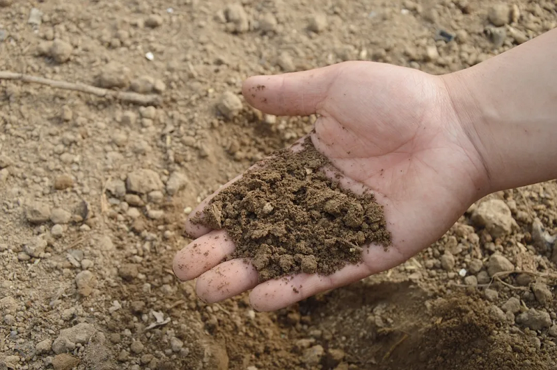 江西省红壤地区主要土壤类型的高光谱特性研究